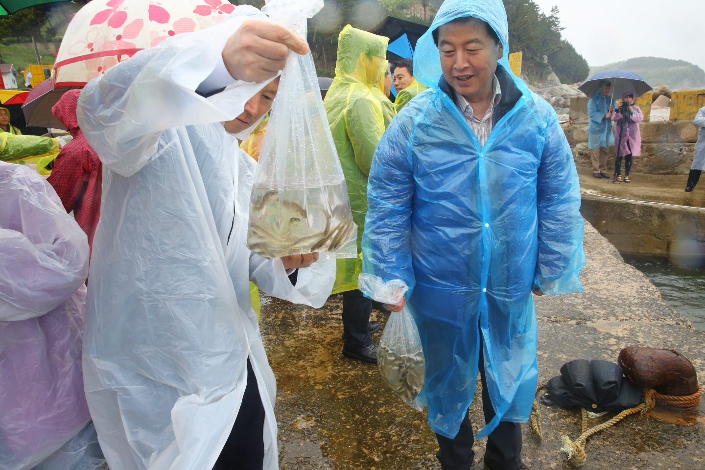 포토뉴스