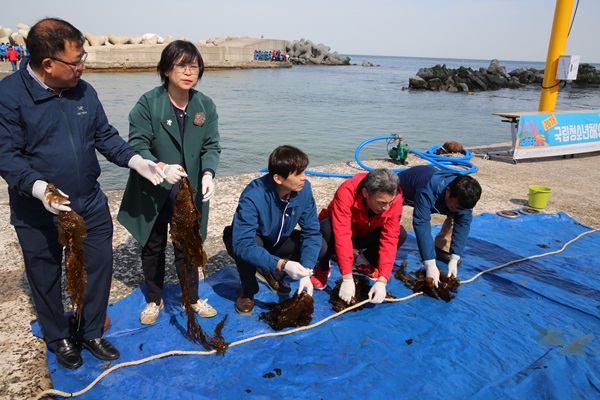 포토뉴스